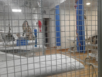 CLINICA LA FLOTA S.L. foto